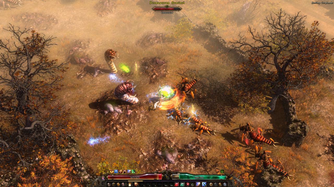 Grim Dawn Definitive اصدار ستيم حساب