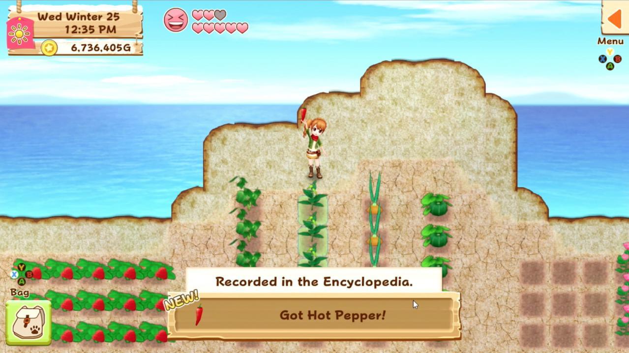 Harvest Moon: Light Of Hope Special اصدار ستيم كود رقمي