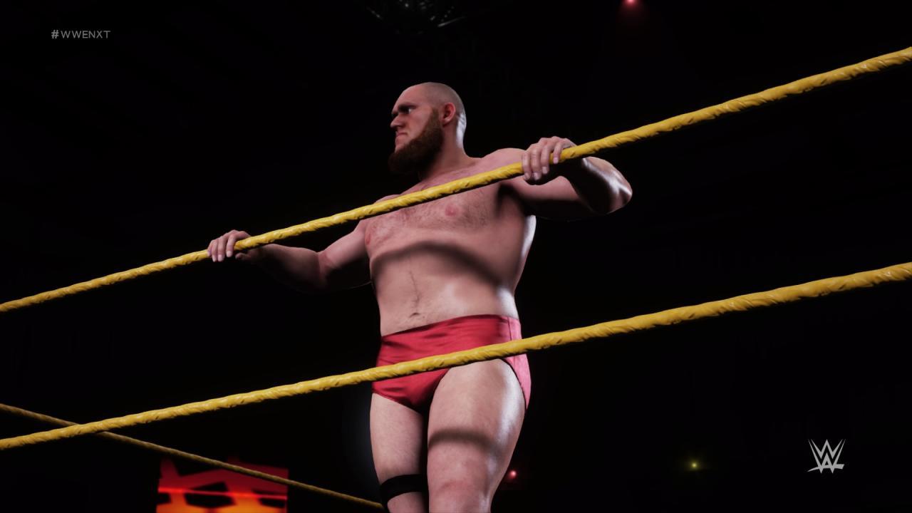 WWE 2K18 - MyPlayer Kickstarter Pack DLC بي سي ستيم كود رقمي