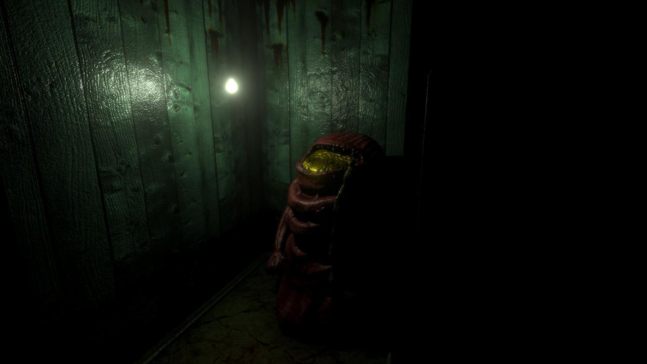 Timore 6 ستيم كود رقمي