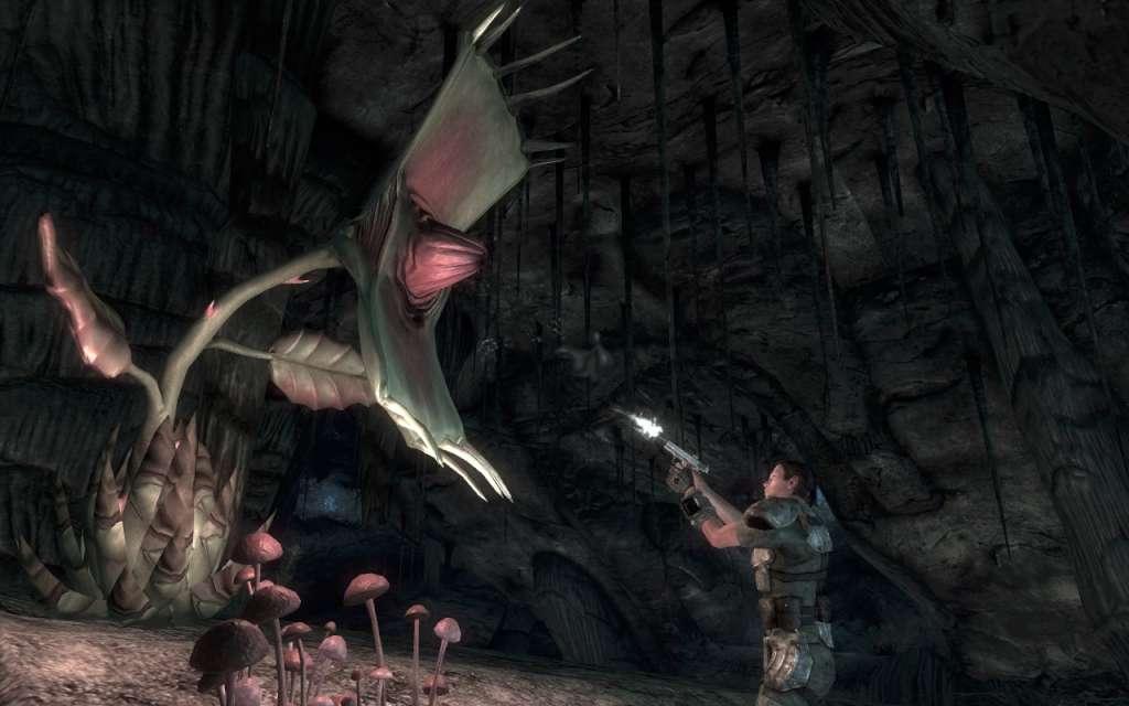 Fallout: New Vegas اولتمت اصدار Region Locked ستيم كود رقمي