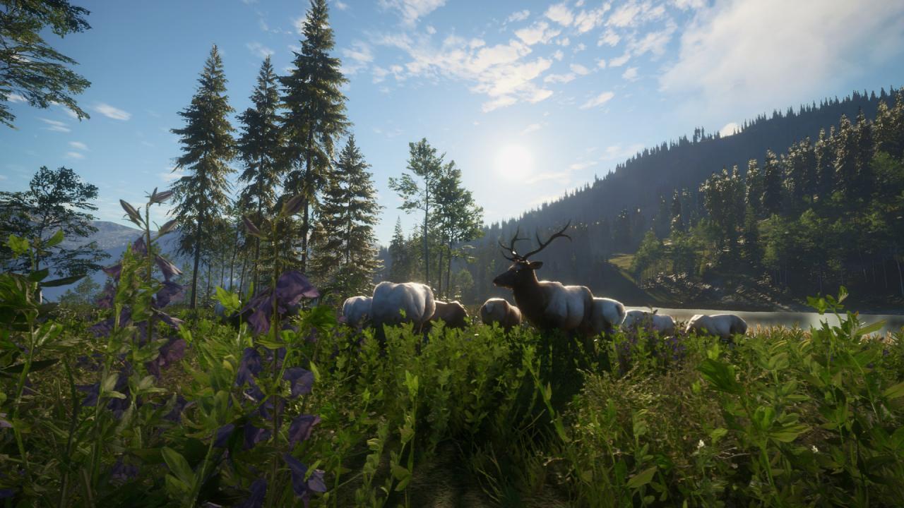 TheHunter: Call Of The Wild - Silver Ridge Peaks DLC ستيم كود رقمي