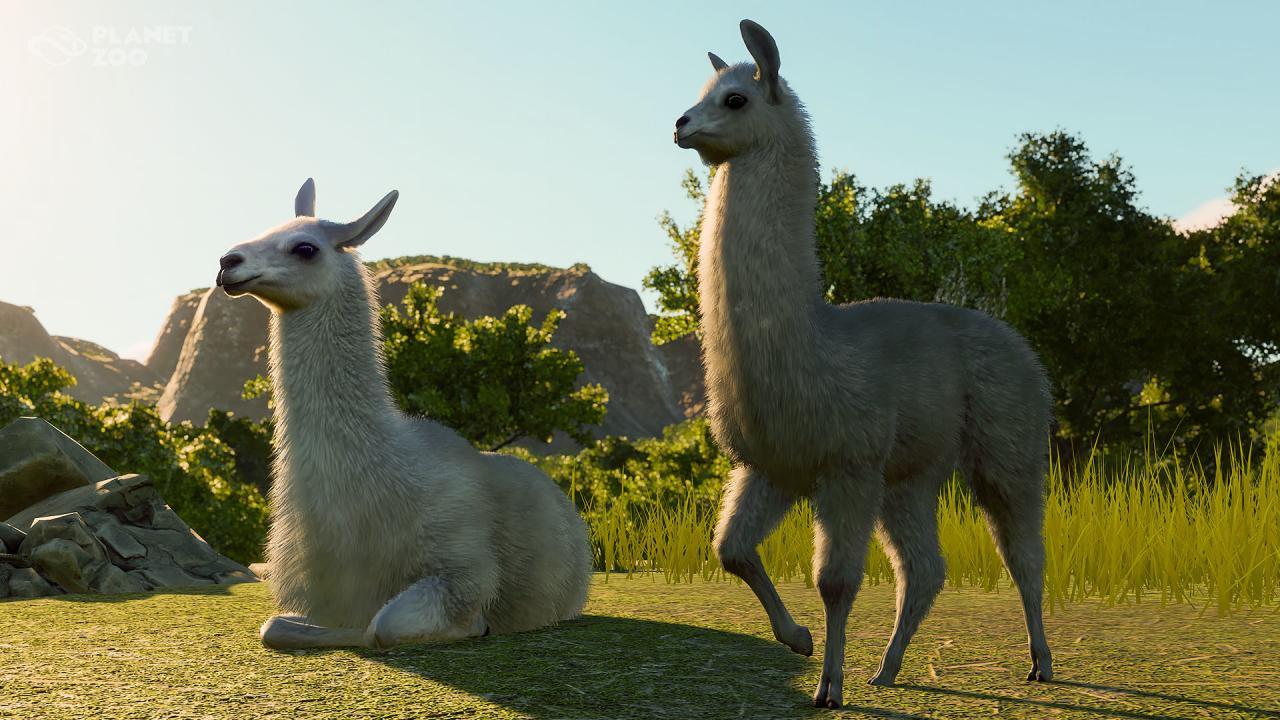 Planet Zoo - South America Pack DLC بي سي ستيم كود رقمي