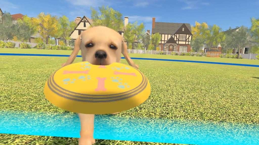 Dream Pets VR ستيم كود رقمي