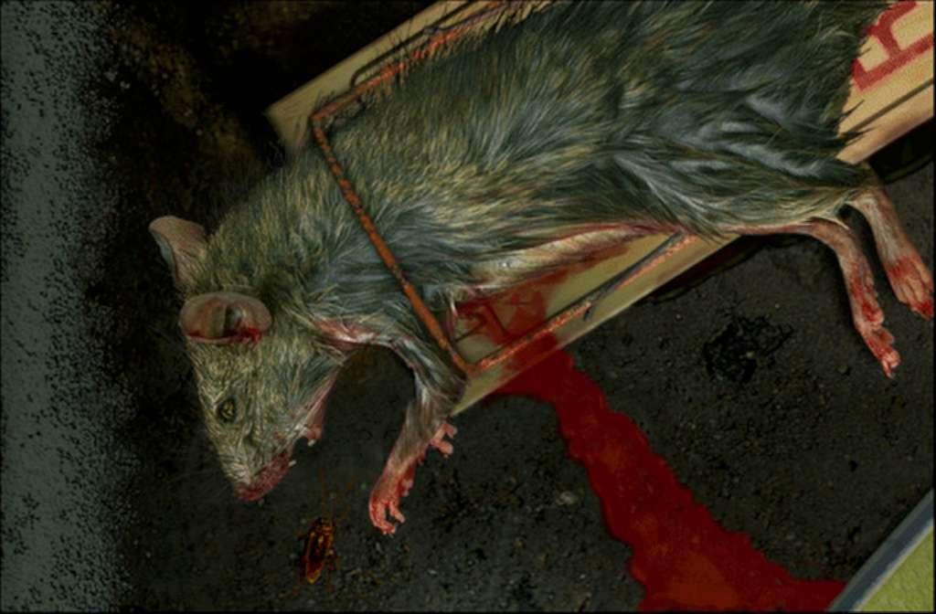 Bad Mojo Redux بي سي ستيم كود رقمي