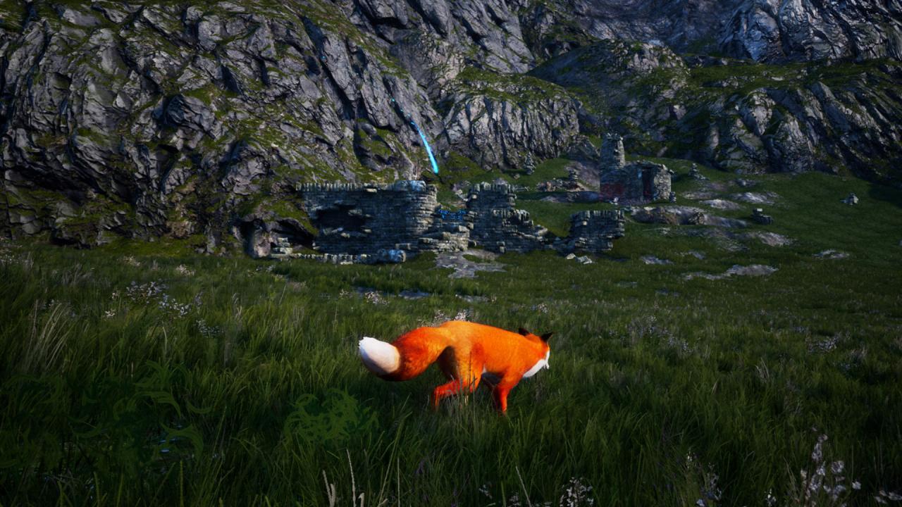 Spirit Of The North ستيم كود رقمي