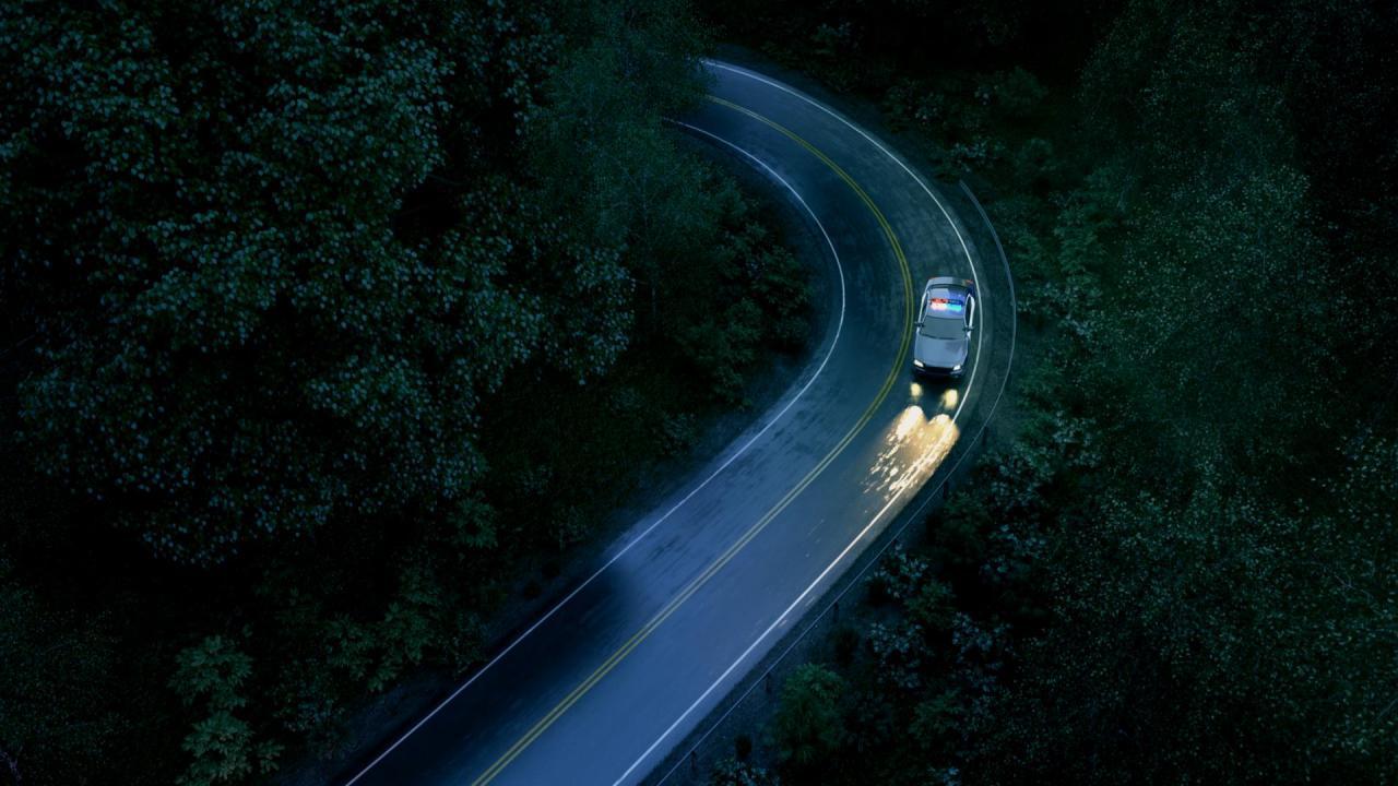 The Dark Inside Me ستيم كود رقمي