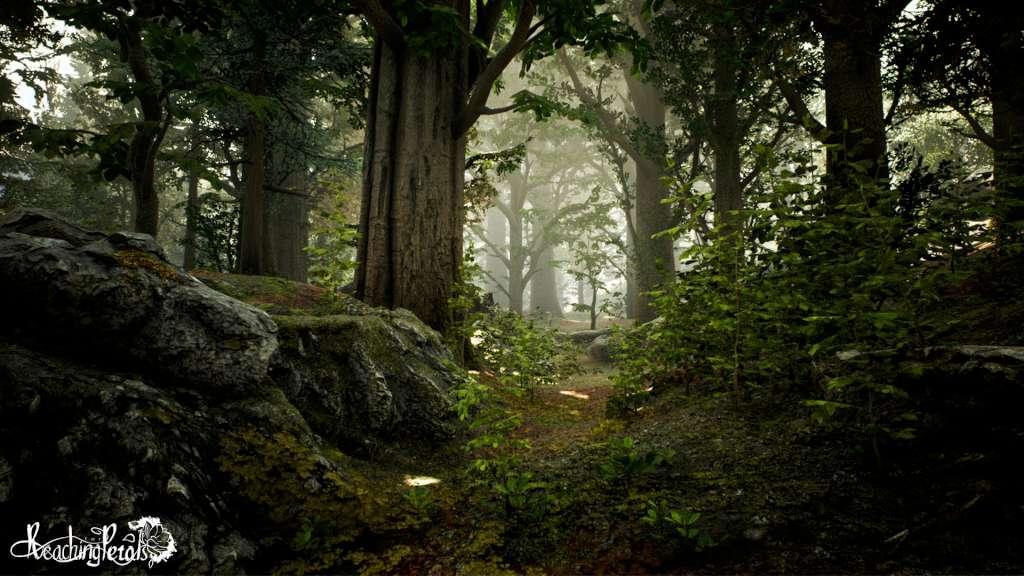 Reaching For Petals ستيم كود رقمي