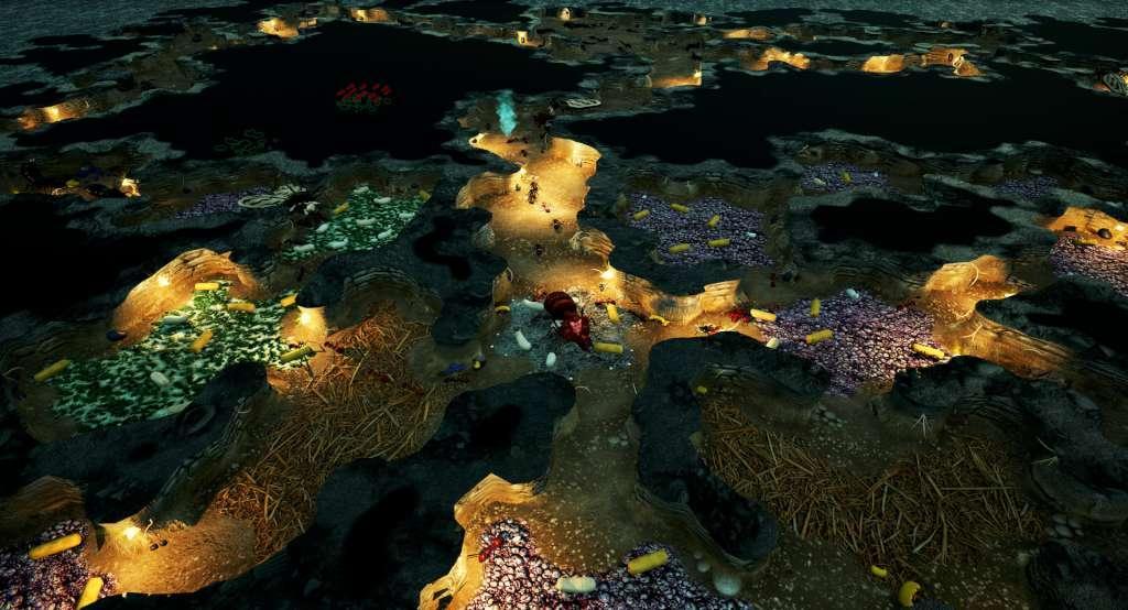 Empires Of The Undergrowth بي سي ستيم كود رقمي