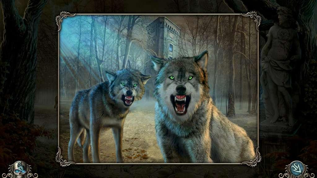 Cursed اوروبي ستيم كود رقمي