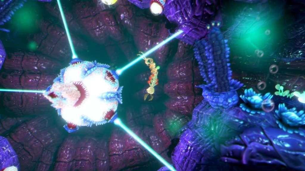 Into The Belly Of The Beast اكسبوكس 1 كود رقمي