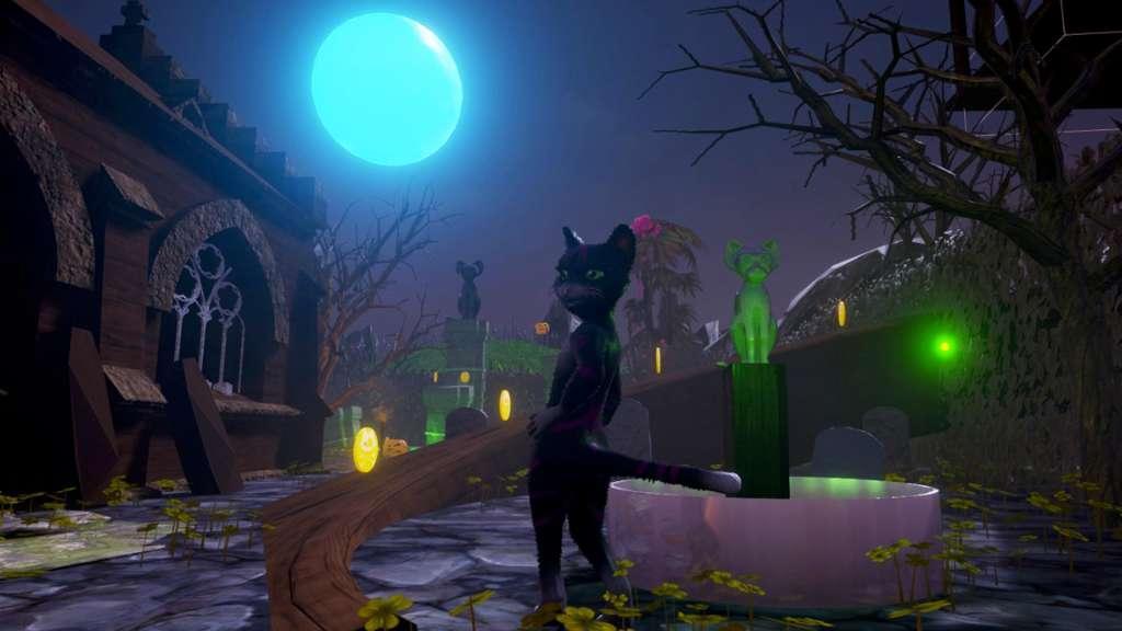 Fur Fun ستيم هدية