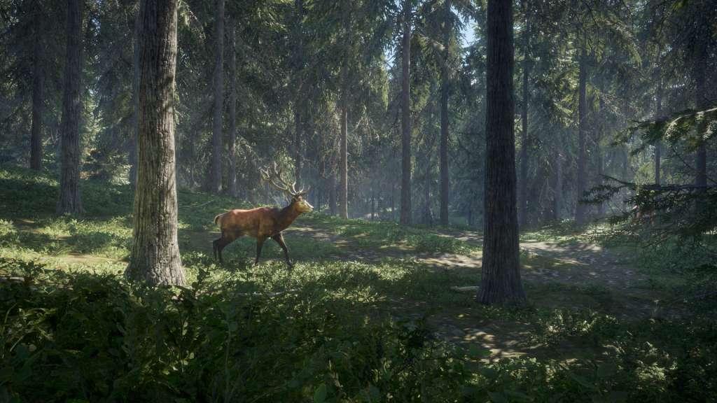 TheHunter: Call Of The Wild امريكي ستيم كود رقمي