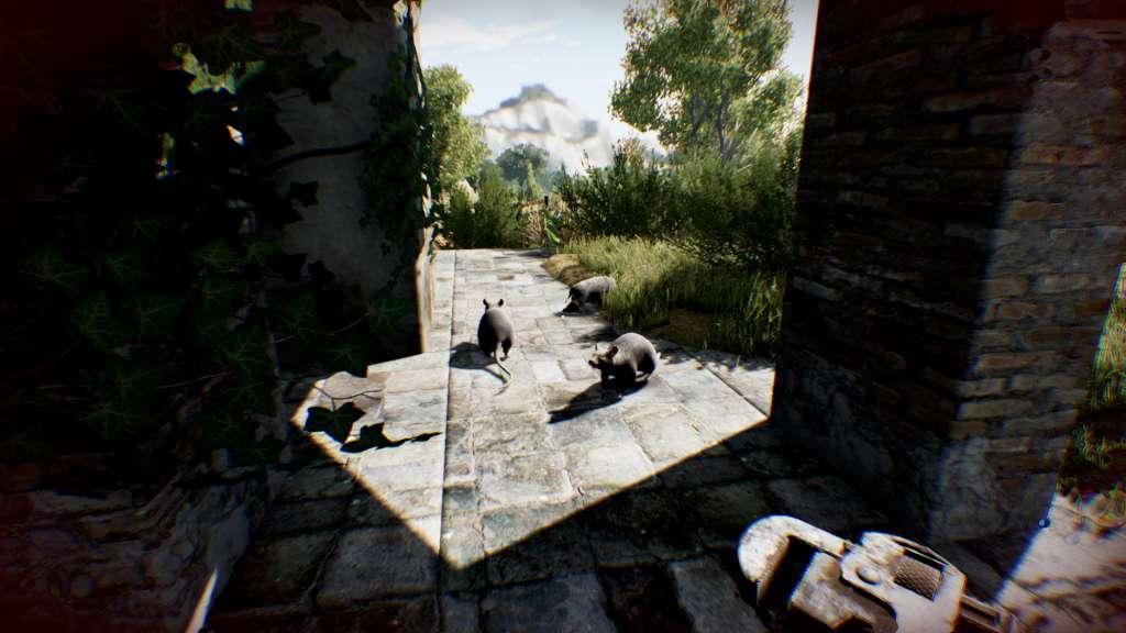 Die Young امريكي ستيم كود رقمي