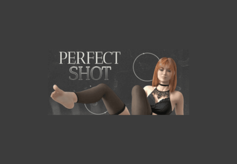 Perfect Shot بي سي ستيم كود رقمي