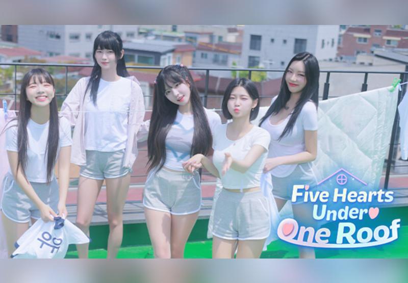 Five Hearts Under One Roof بي سي ستيم حساب