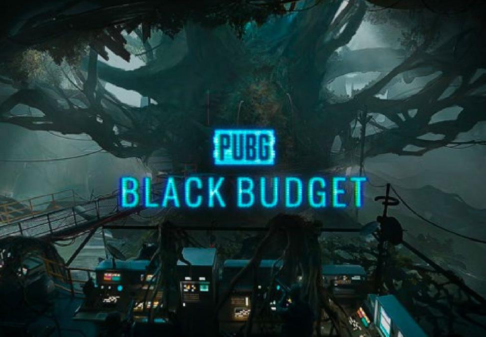 PUBG: Black Budget Playtest بي سي ستيم كود رقمي
