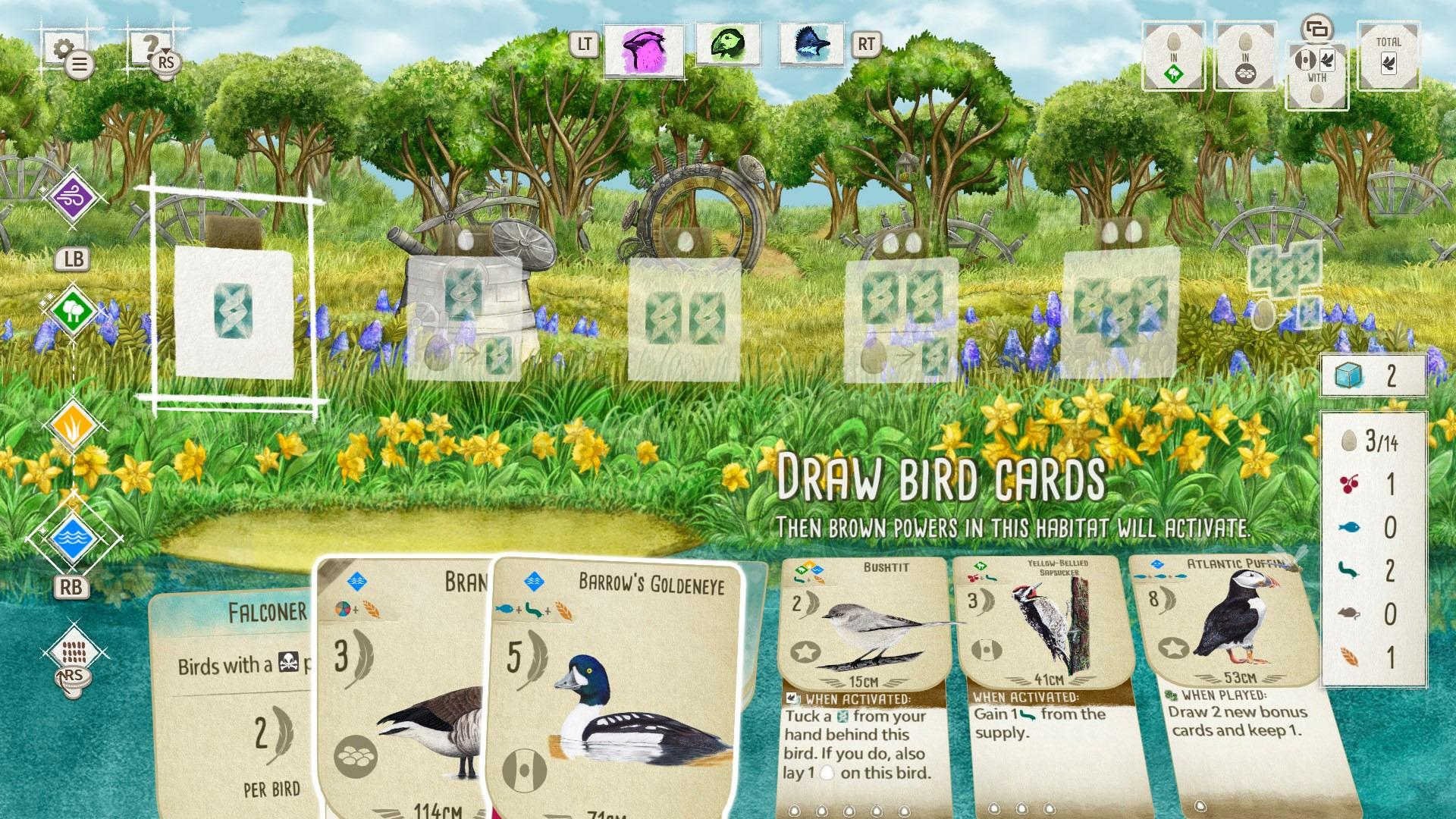 Wingspan - Decorative Packs حزمة DLC اكسبوكس 1 / إكس بوكس سيريس X|S / بي سي حساب