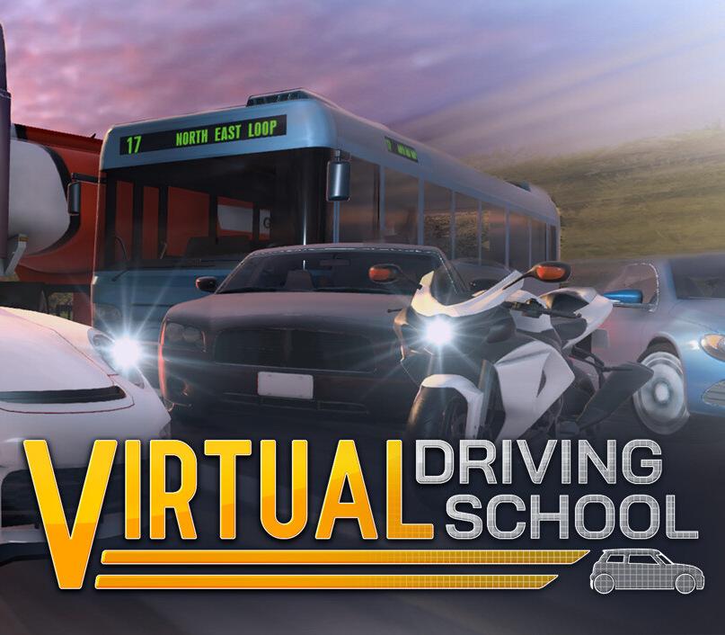 Virtual Driving School PC Steam CD Key