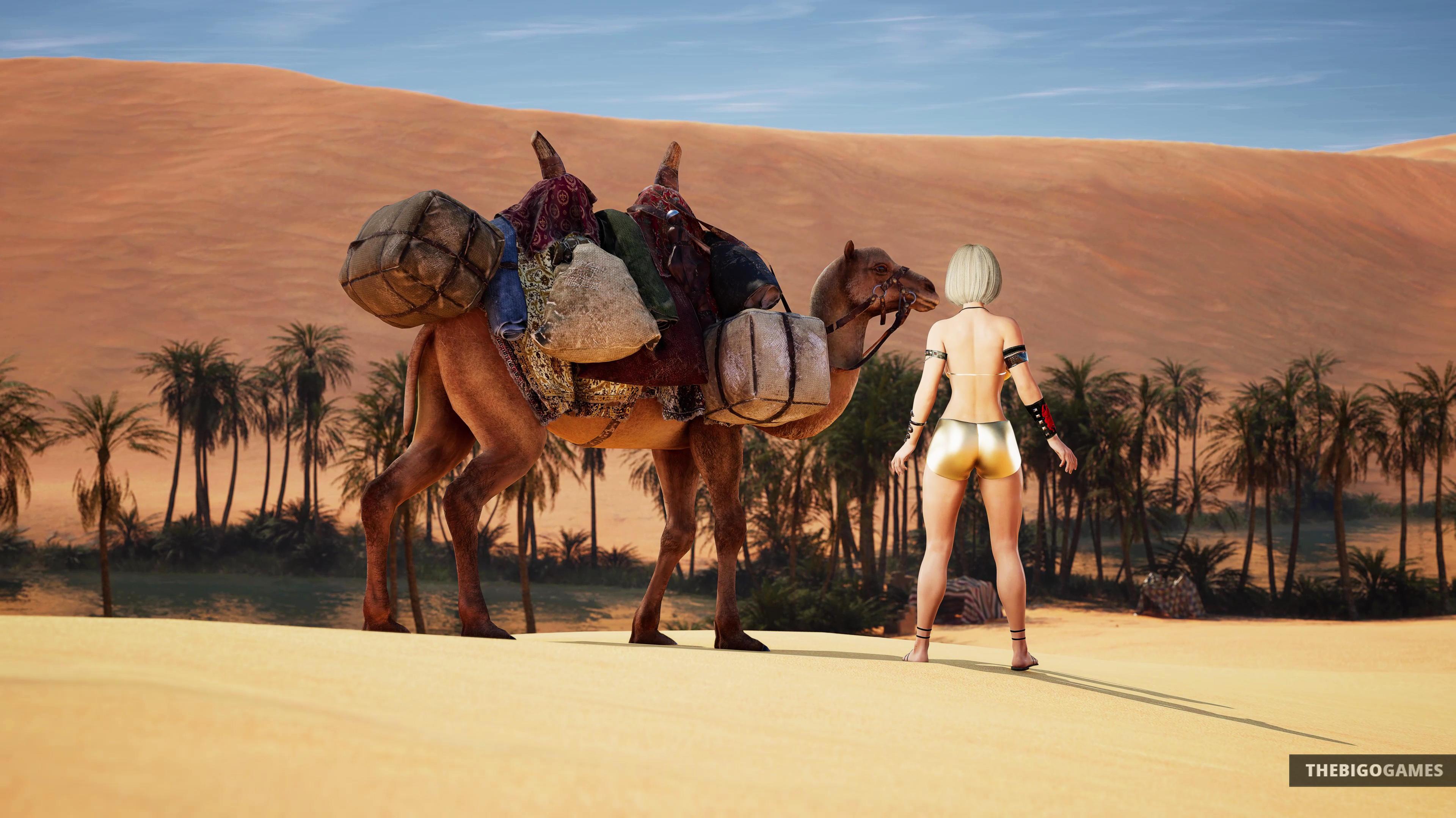 Futa Oasis بي سي ستيم كود رقمي