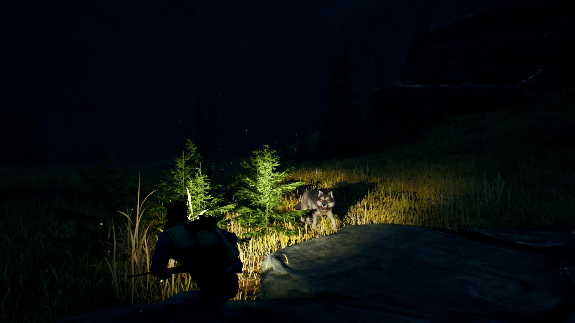 Open Country بلايستيشن 4 حساب