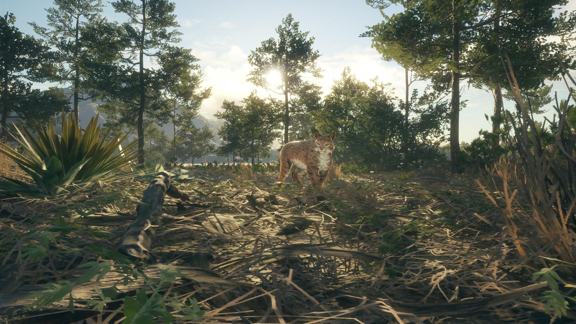 TheHunter: Call Of The Wild - Rancho Del Arroyo DLC بي سي ستيم كود رقمي
