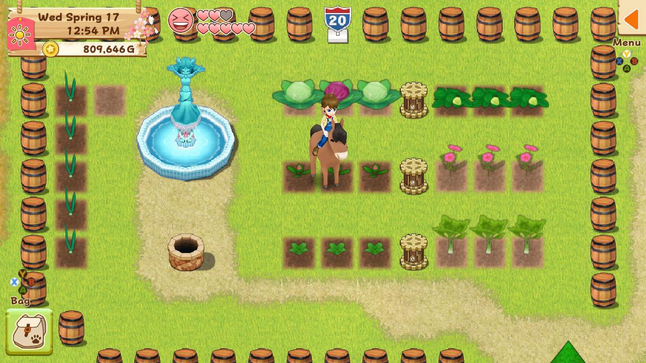 Harvest Moon: Light Of Hope Special اصدار - Decorations & Tool Upgrade Pack ستيم كود رقمي