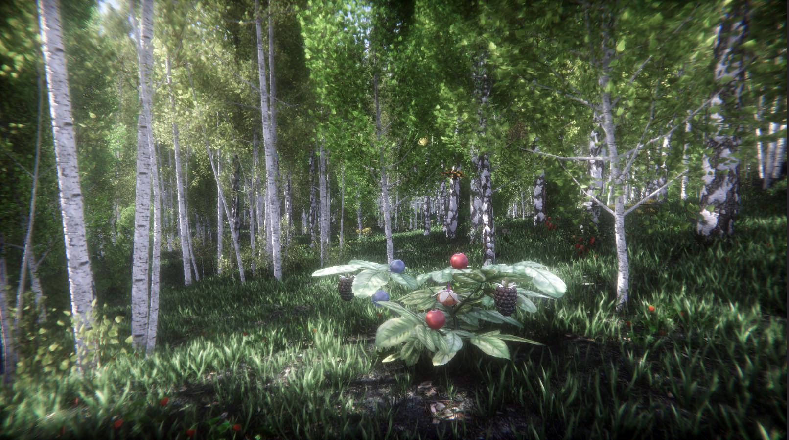 Berries Challenge ستيم كود رقمي