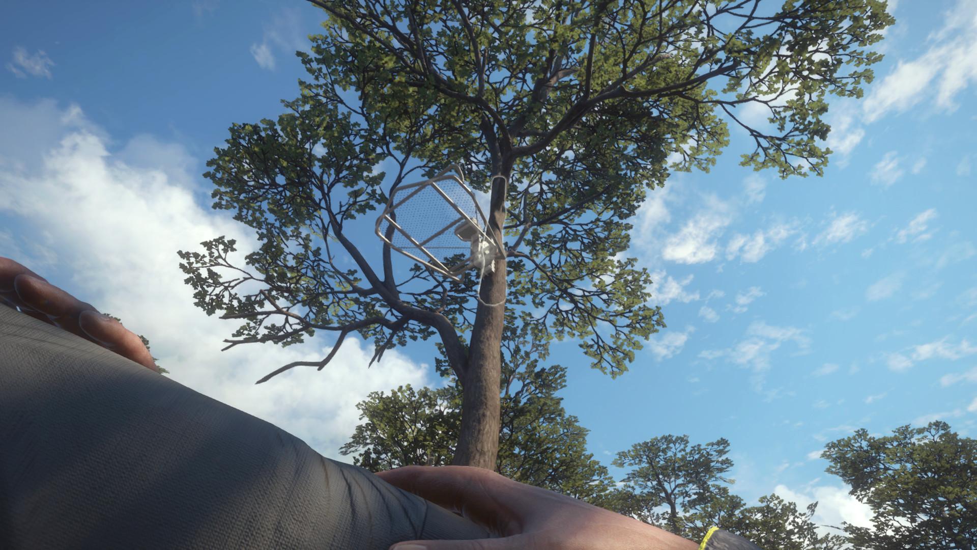 TheHunter: Call Of The Wild - Treestand & Tripod Pack DLC ستيم كود رقمي