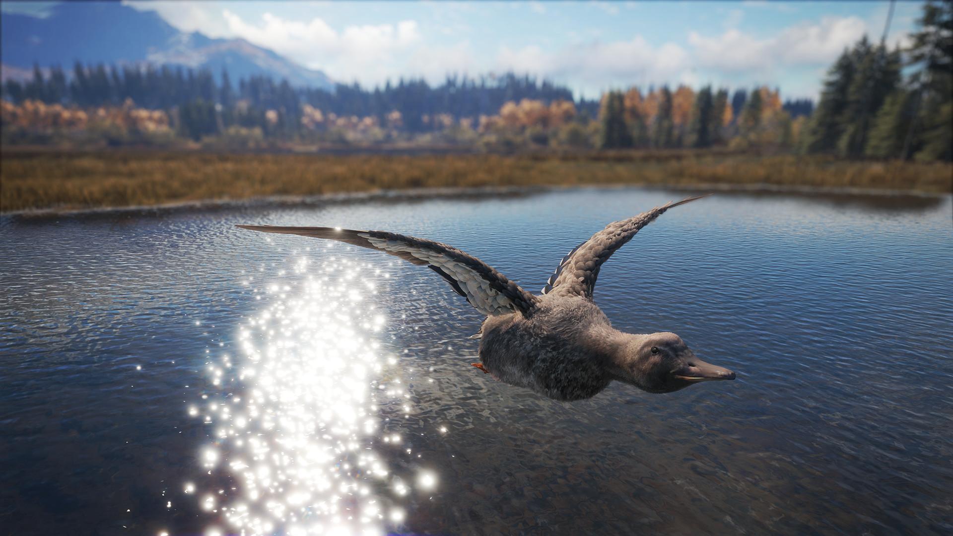 TheHunter: Call Of The Wild - Duck And Cover Pack DLC ستيم كود رقمي