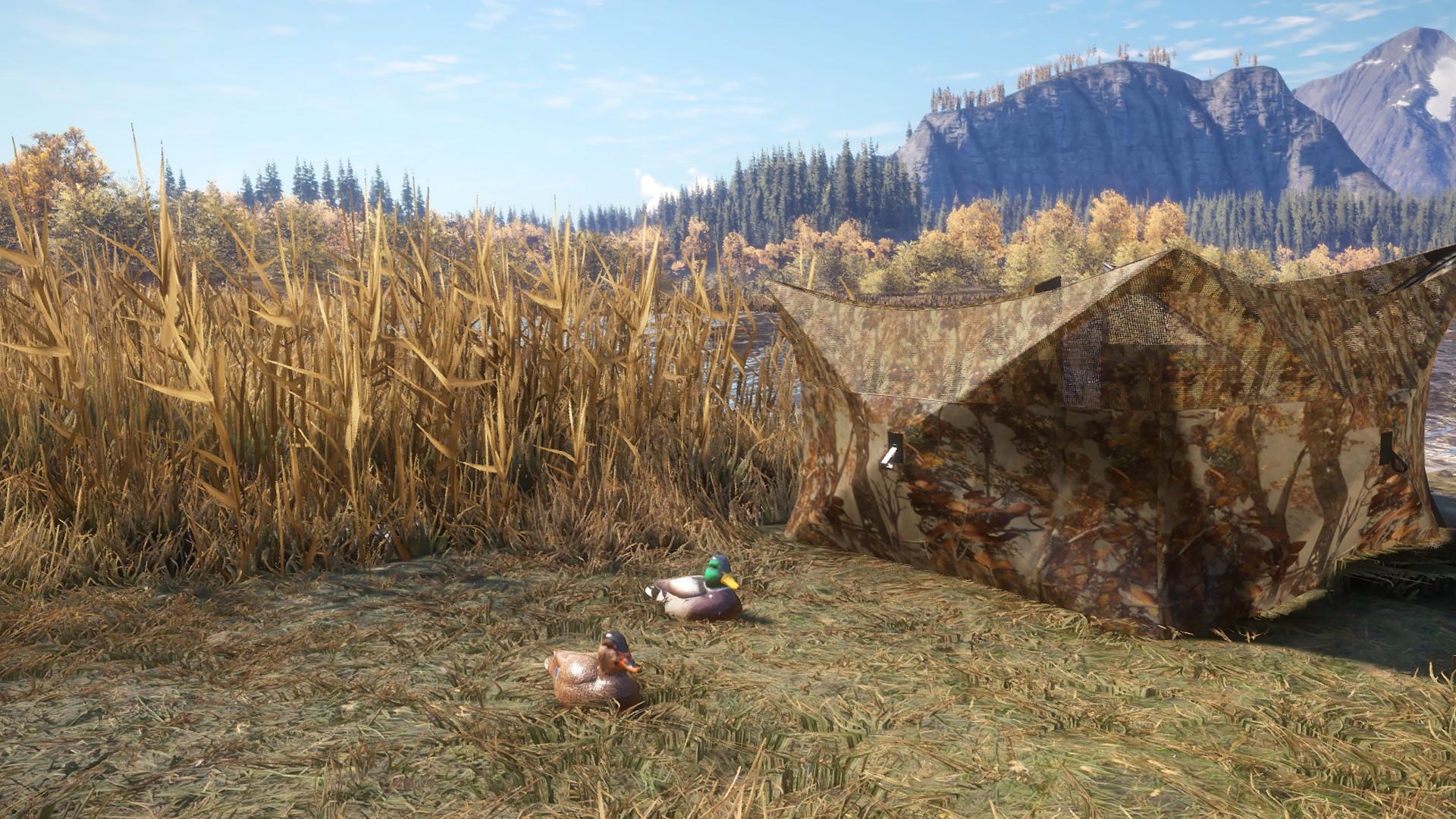 TheHunter: Call Of The Wild - Duck And Cover Pack DLC ستيم كود رقمي