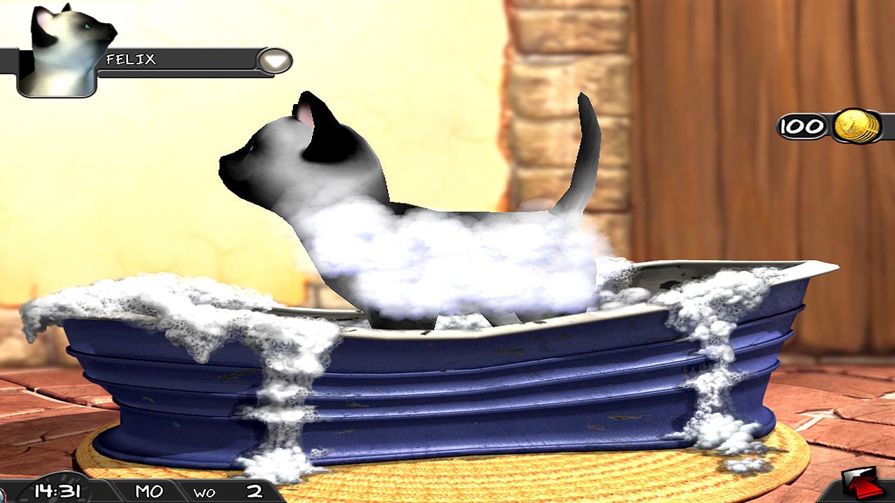 My Best Friends - Cats & Dogs ستيم كود رقمي