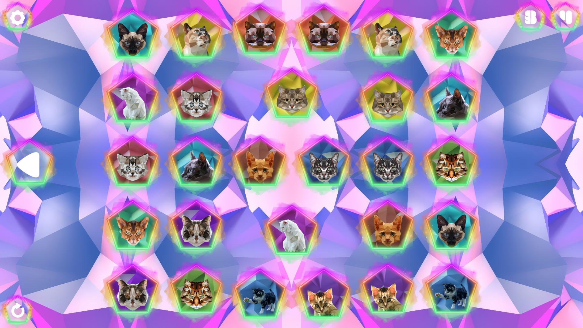 Poly Memory: Cats اوروبي بي سي ستيم كود رقمي