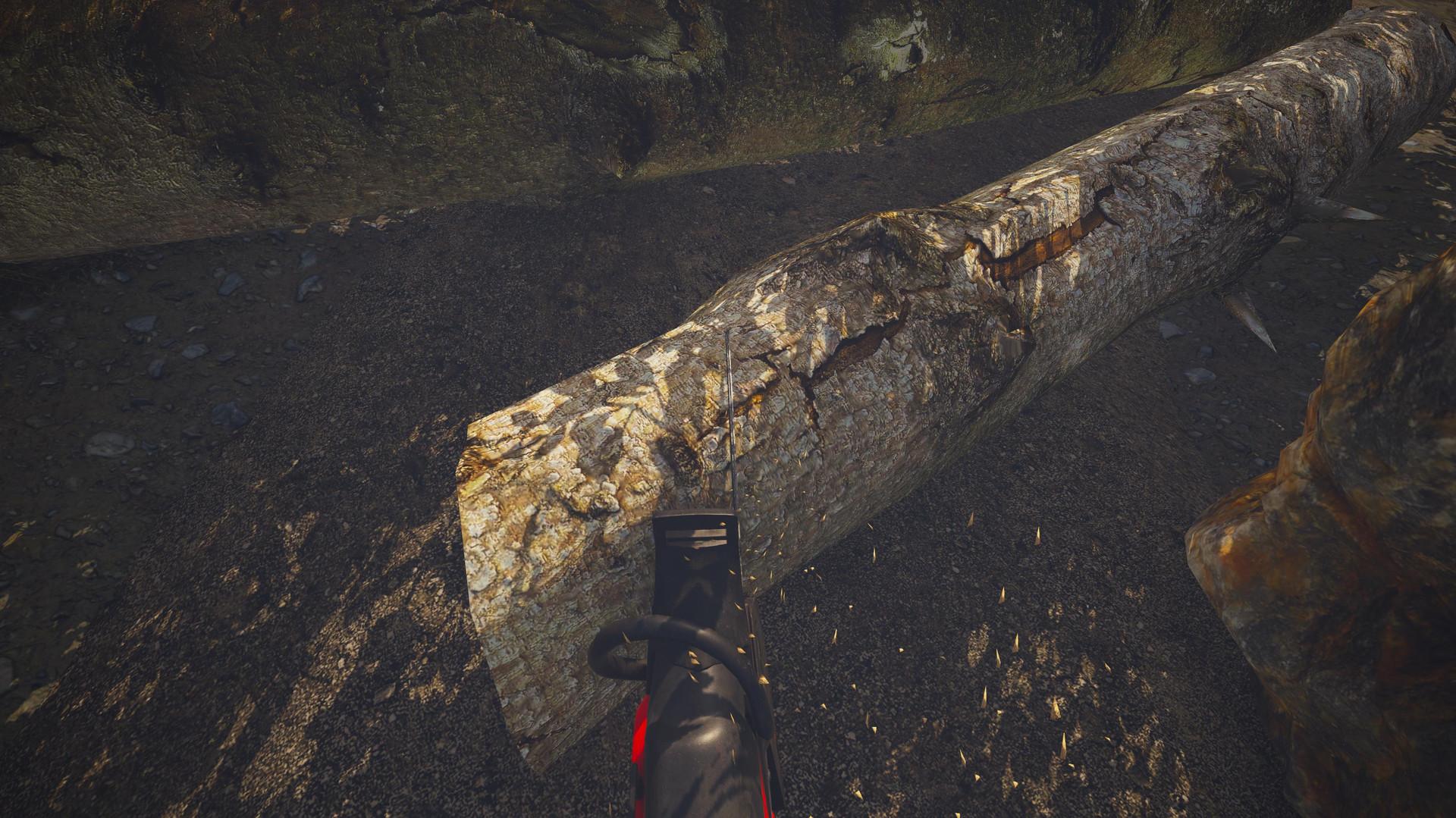 Dinosaur Fossil Hunter بي سي ستيم كود رقمي