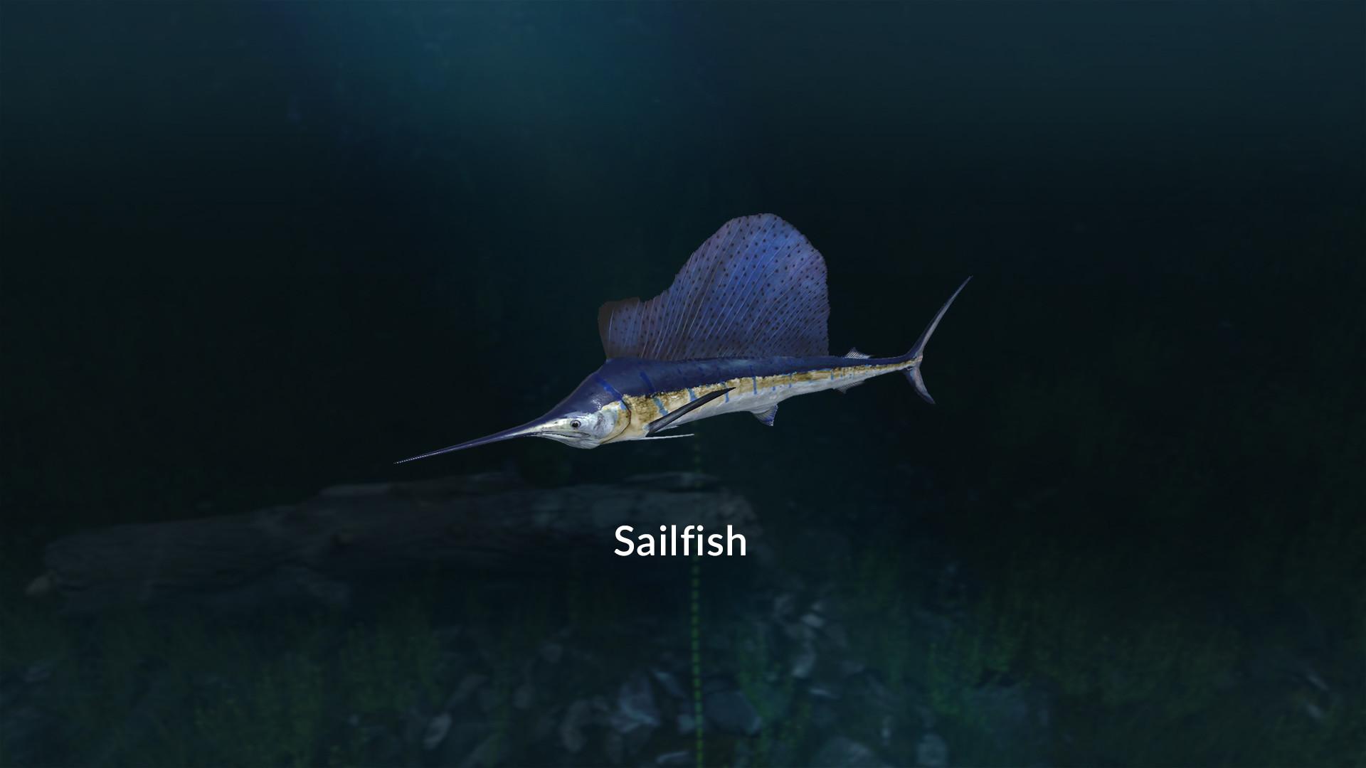 اولتمت Fishing Simulator - New Fish Species DLC ستيم كود رقمي