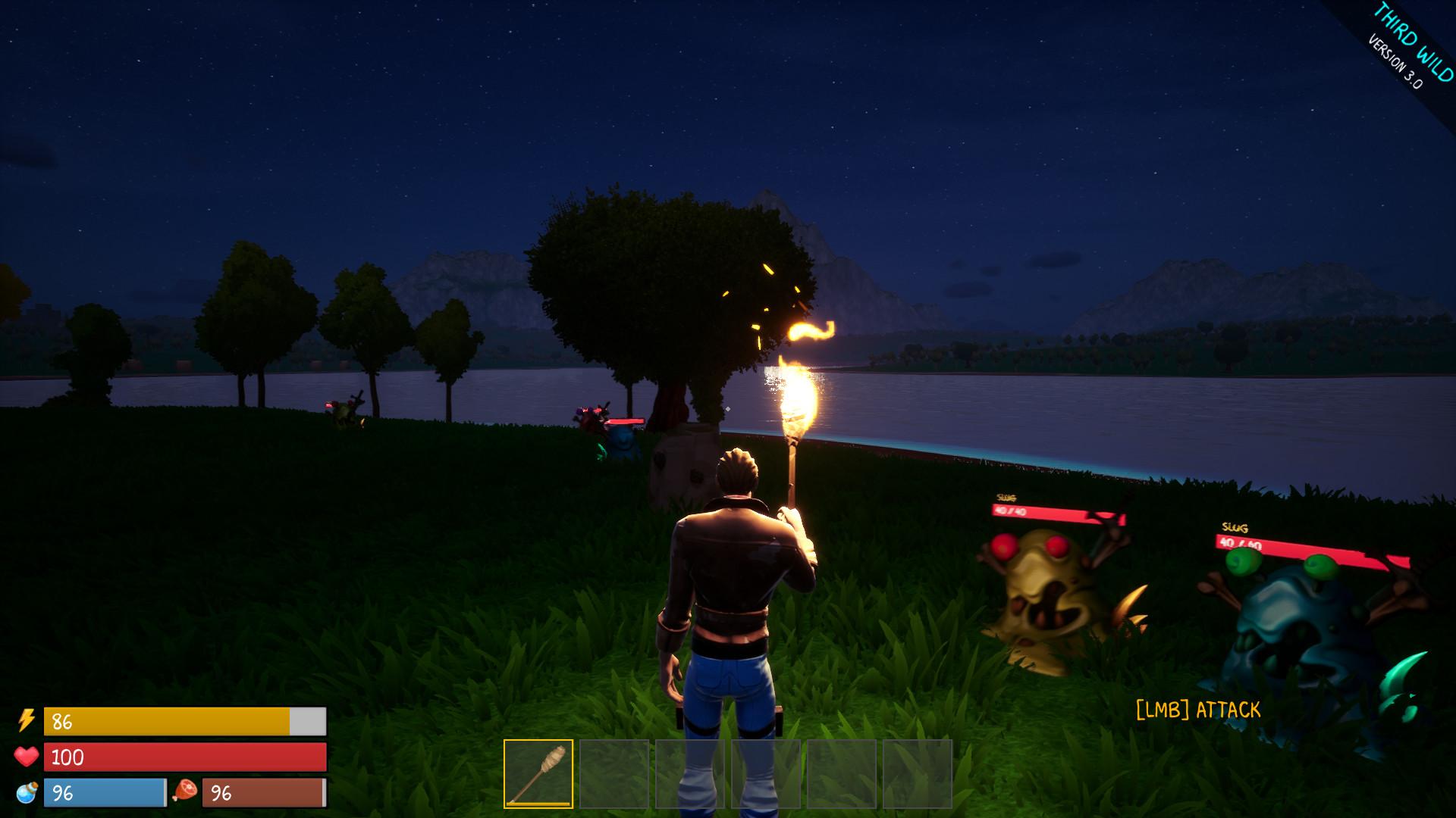 Third Wild ستيم كود رقمي