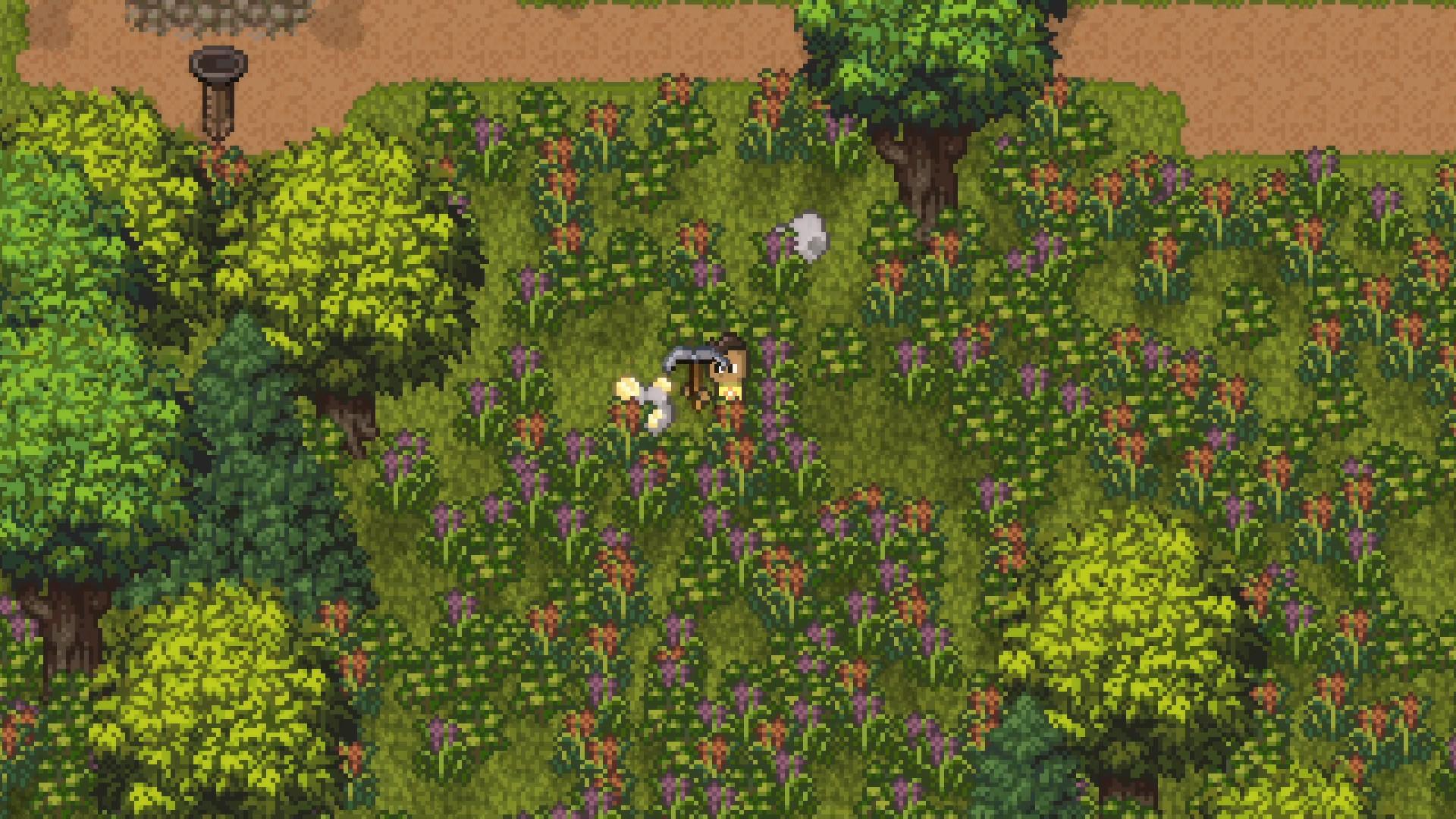 Island Berry ستيم كود رقمي