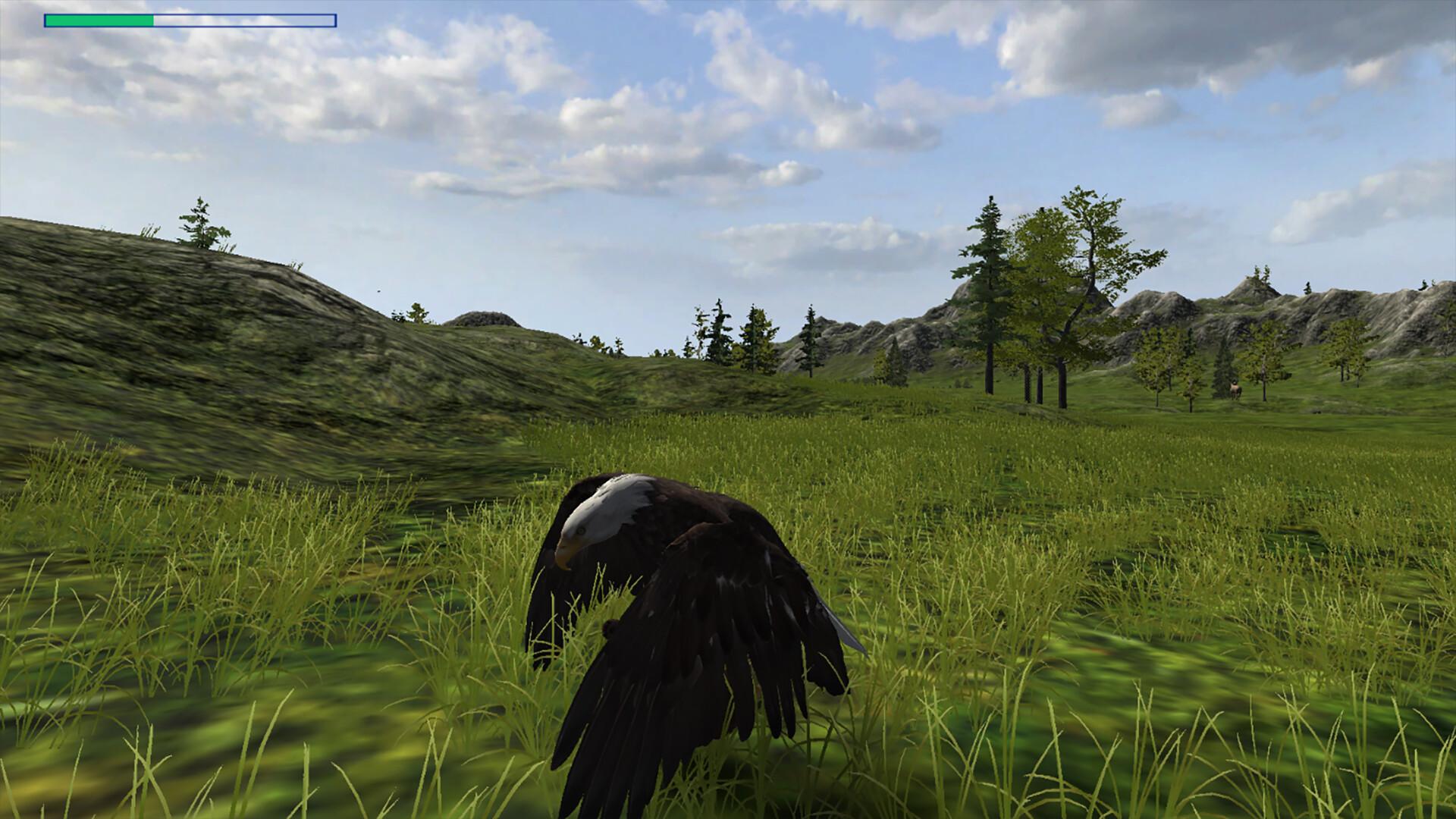 Eagle Hunting Journey ستيم كود رقمي