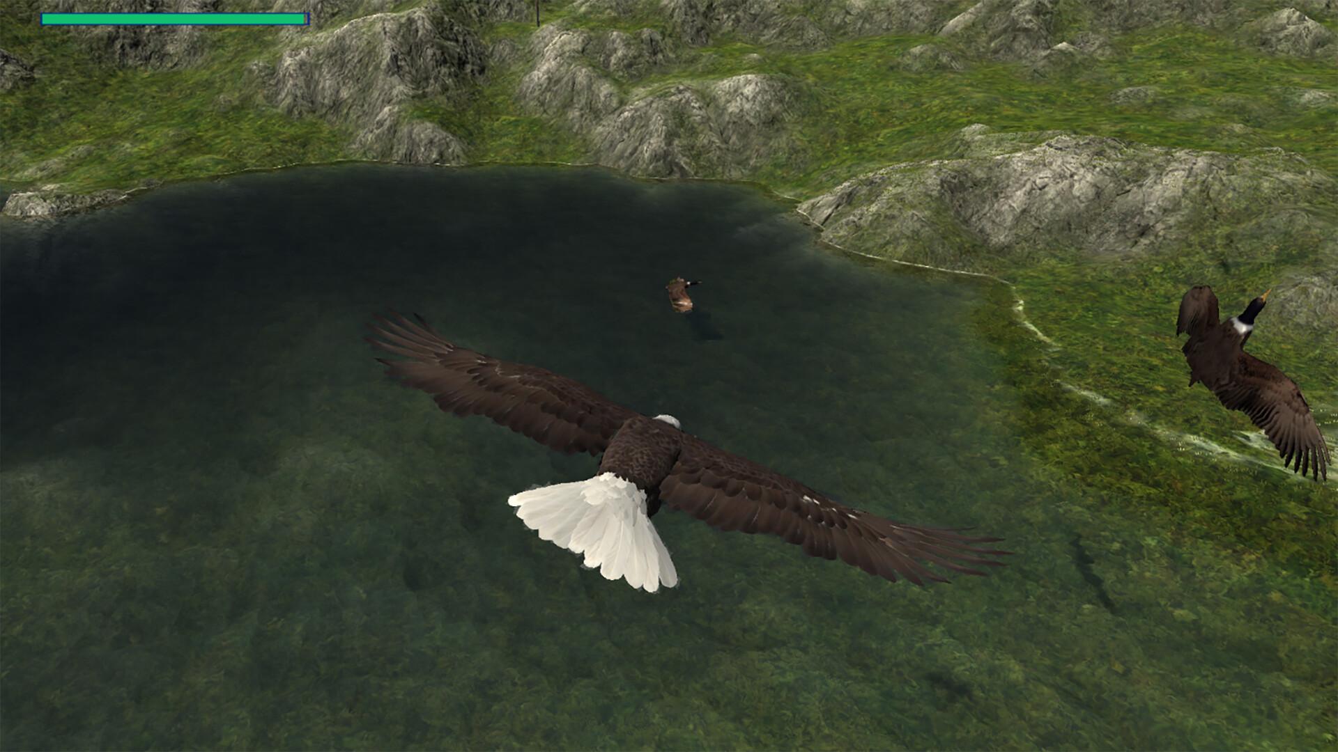 Eagle Hunting Journey ستيم كود رقمي