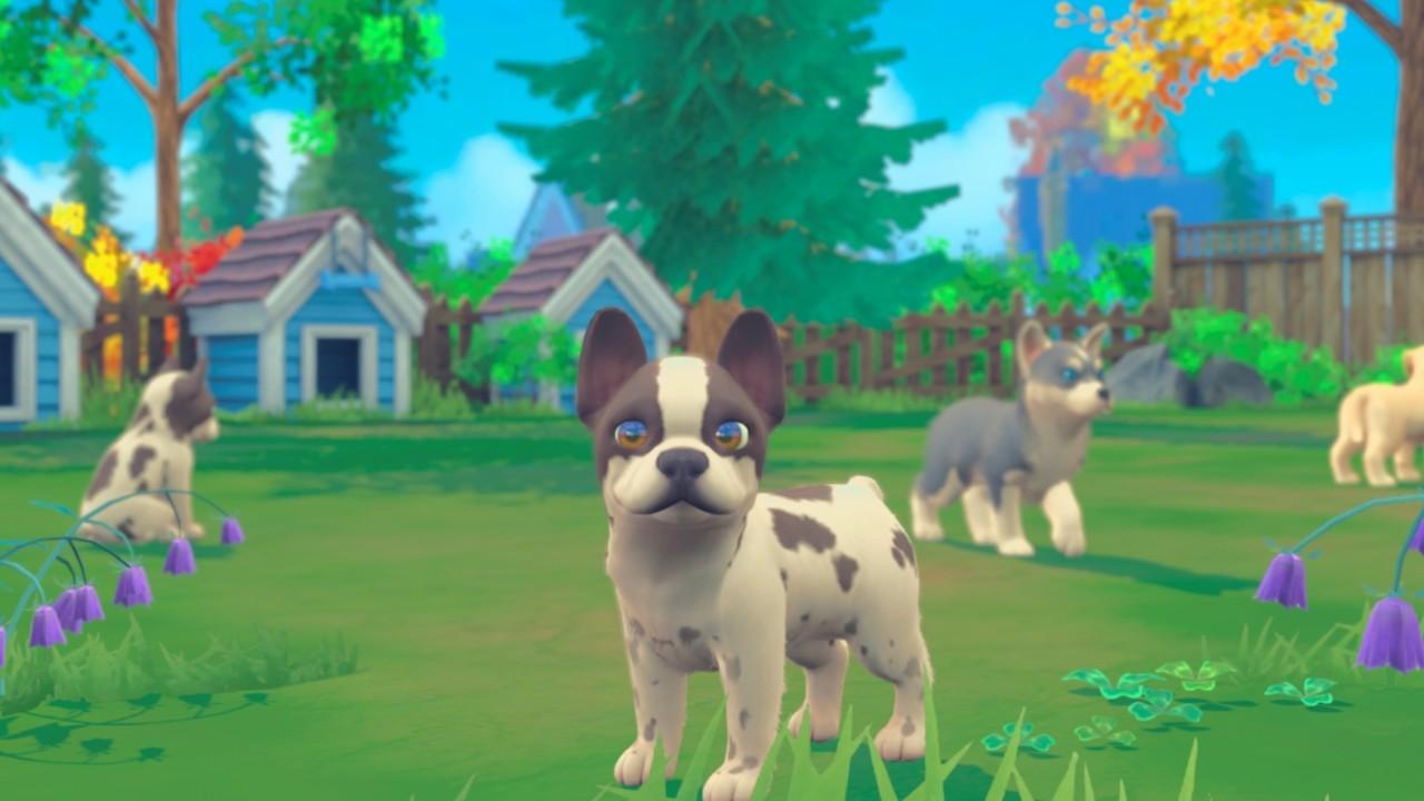My Universe - Puppies & Kittens بي سي ستيم كود رقمي