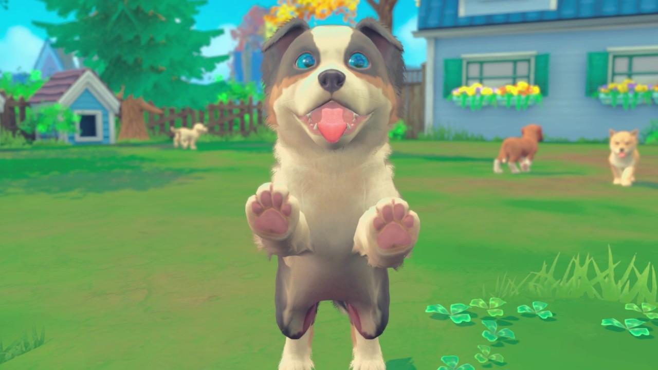 My Universe - Puppies & Kittens بي سي ستيم كود رقمي
