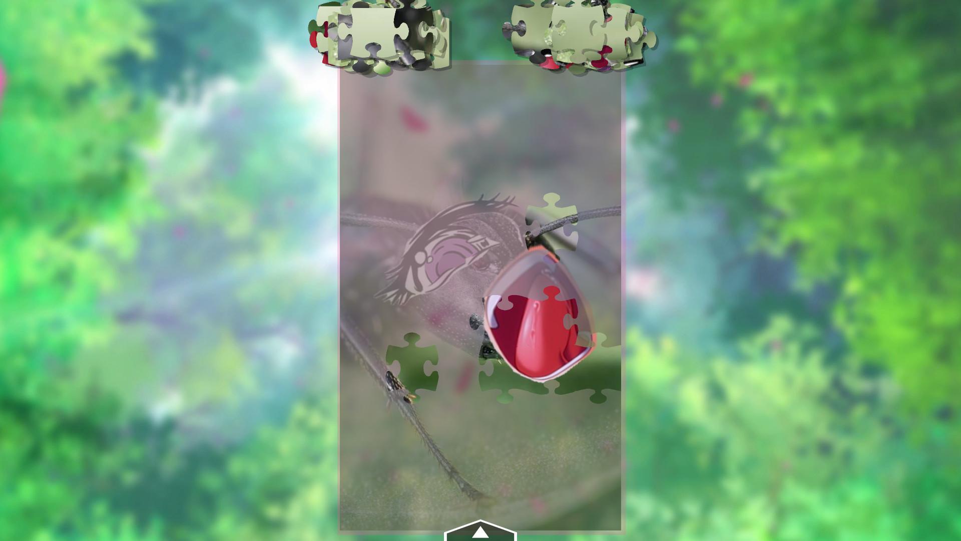 My Sweet Ants! ستيم كود رقمي