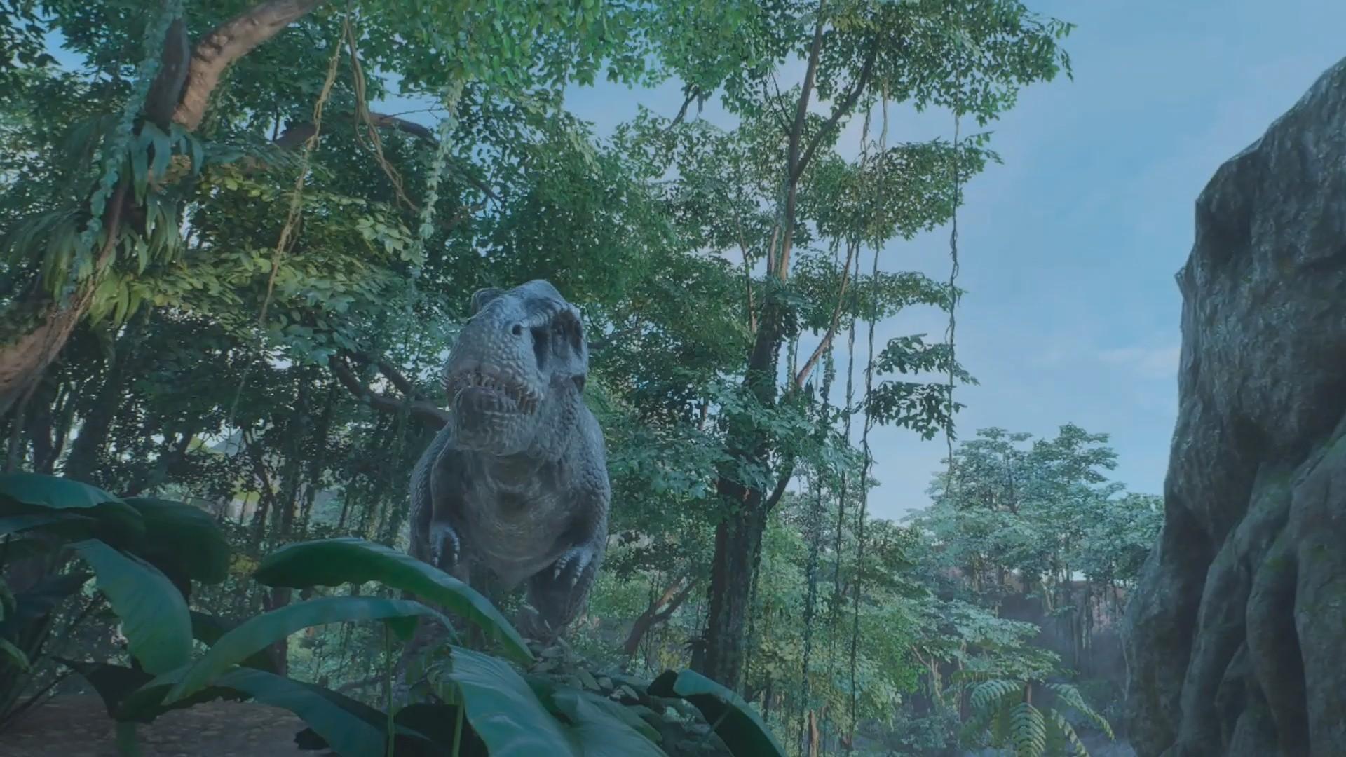 Behind Border Zone ستيم كود رقمي