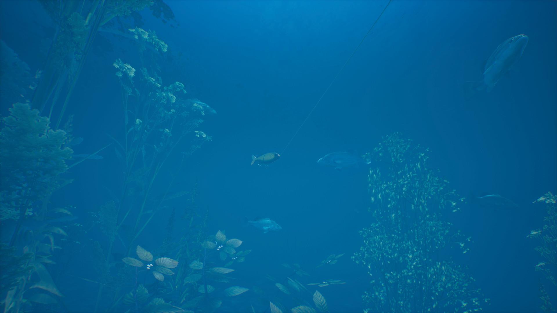 Bassmaster Fishing 2022 - Lake Hartwell DLC ستيم كود رقمي