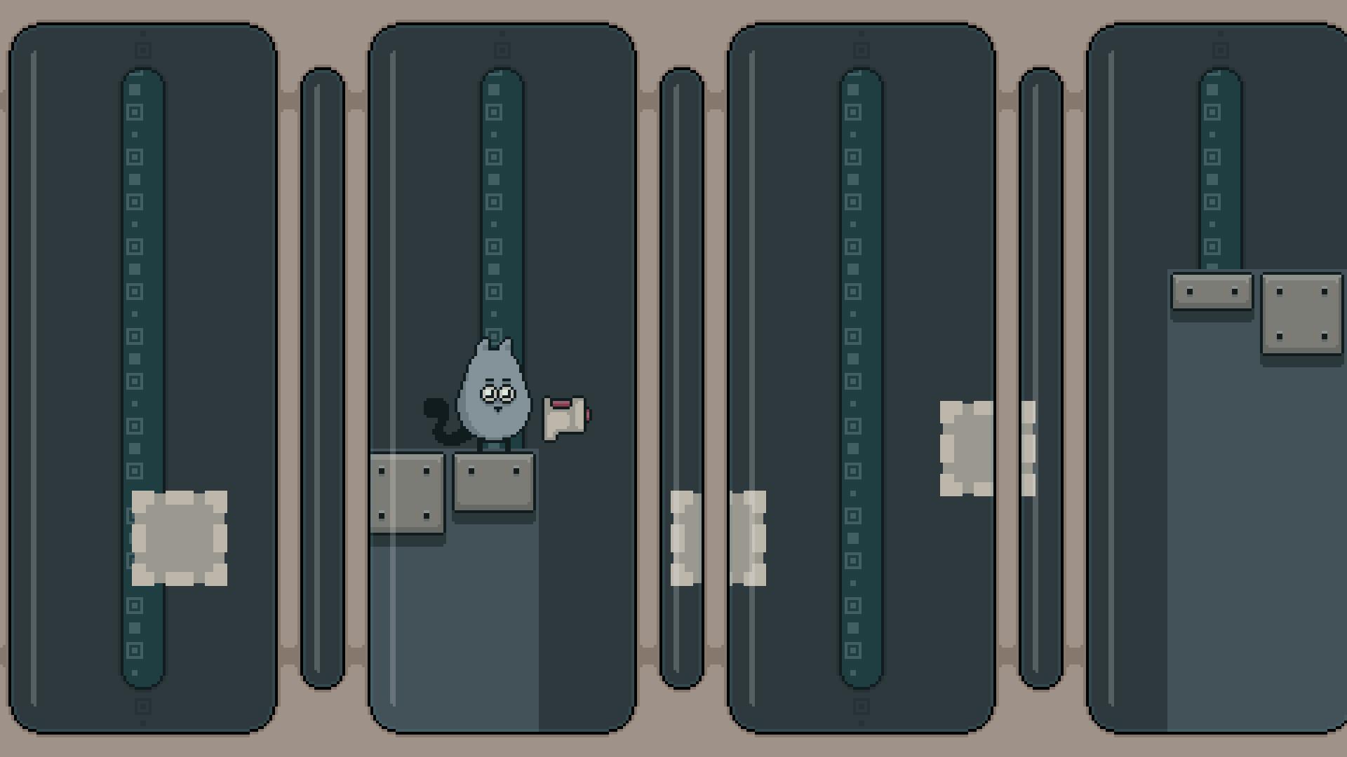 Gray Cat ستيم كود رقمي