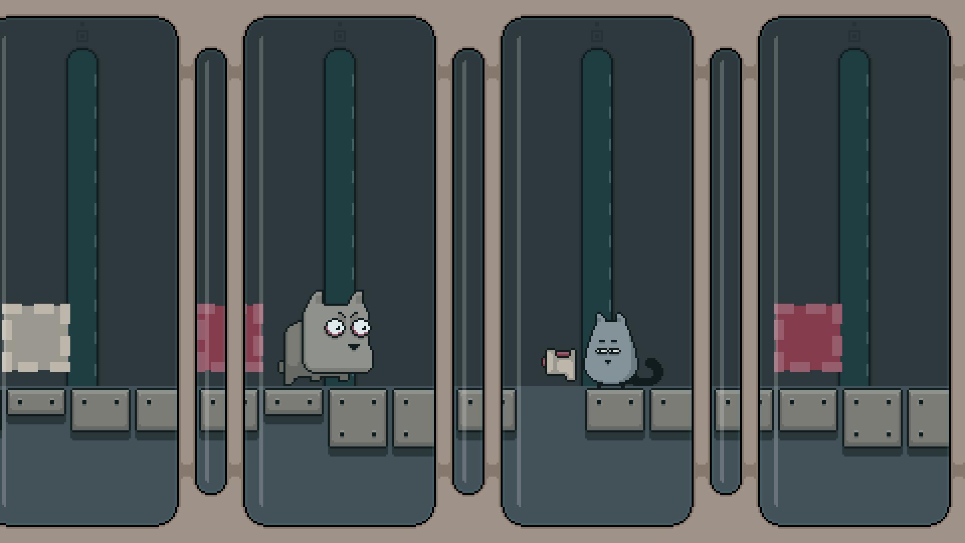 Gray Cat ستيم كود رقمي