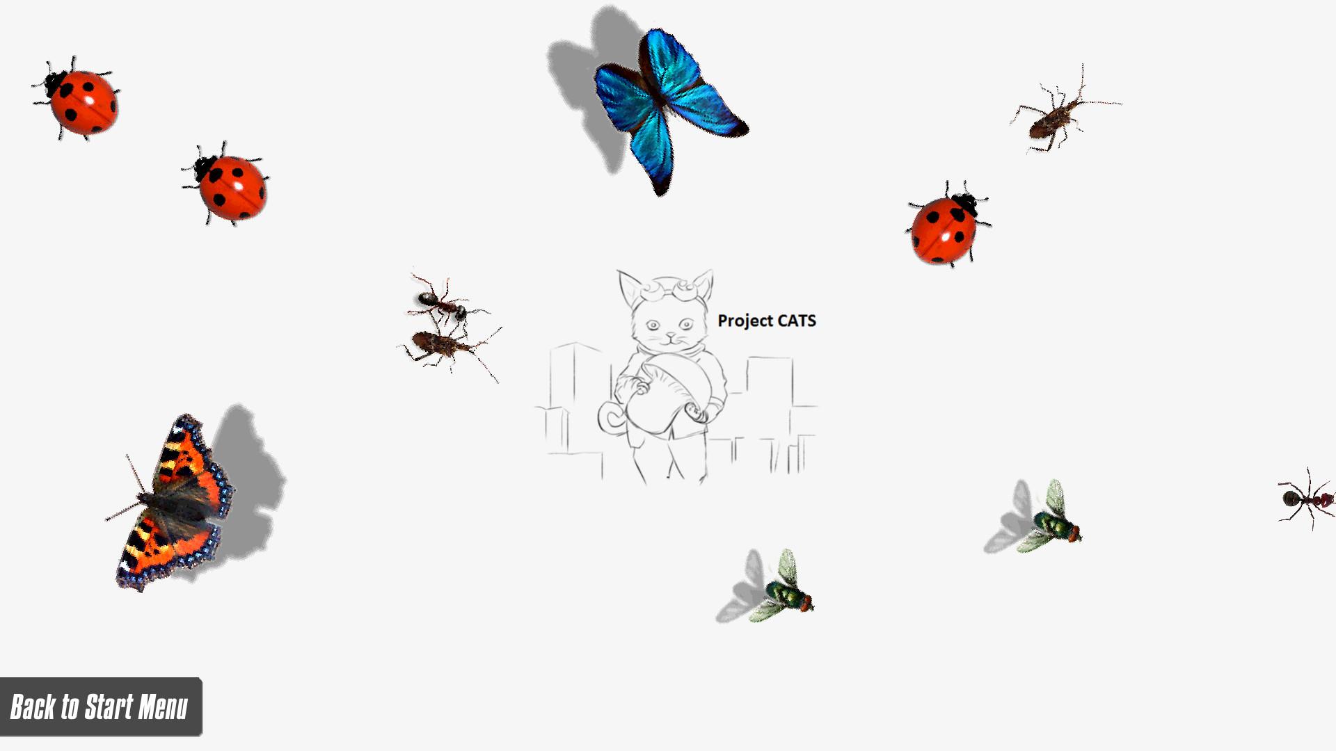 CATS! ستيم هدية