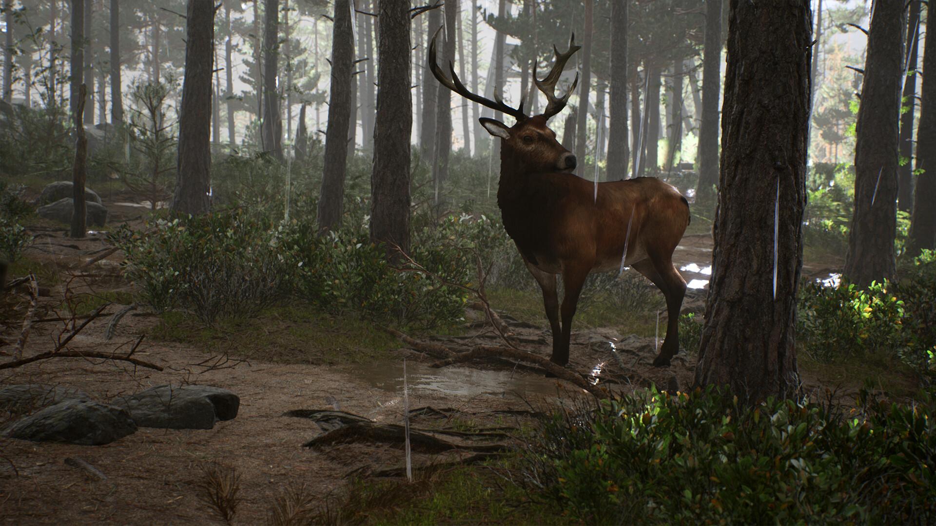 Nowhere: Mysterious Artifacts ستيم كود رقمي