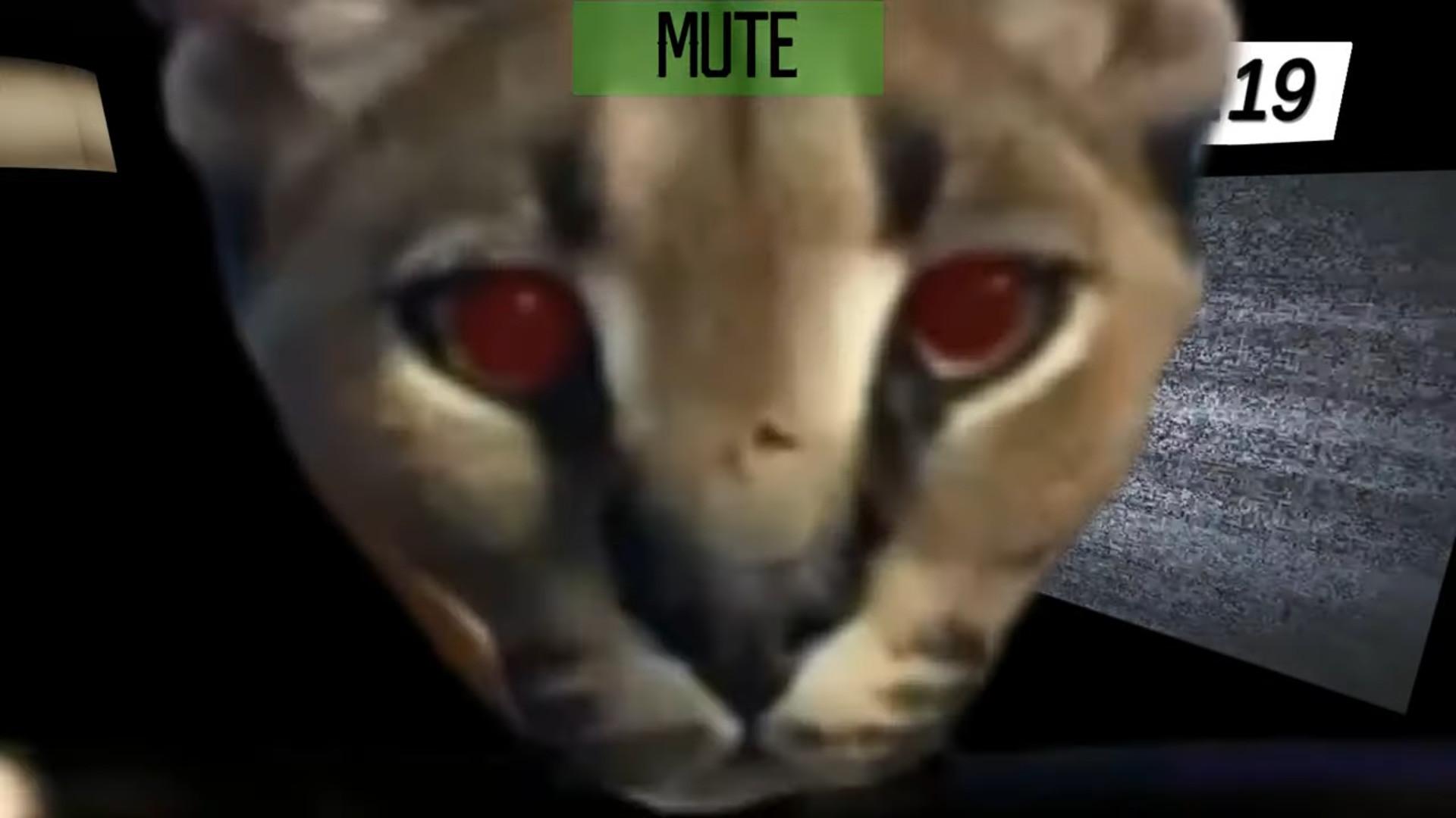 Five Nights At Floppa ستيم كود رقمي