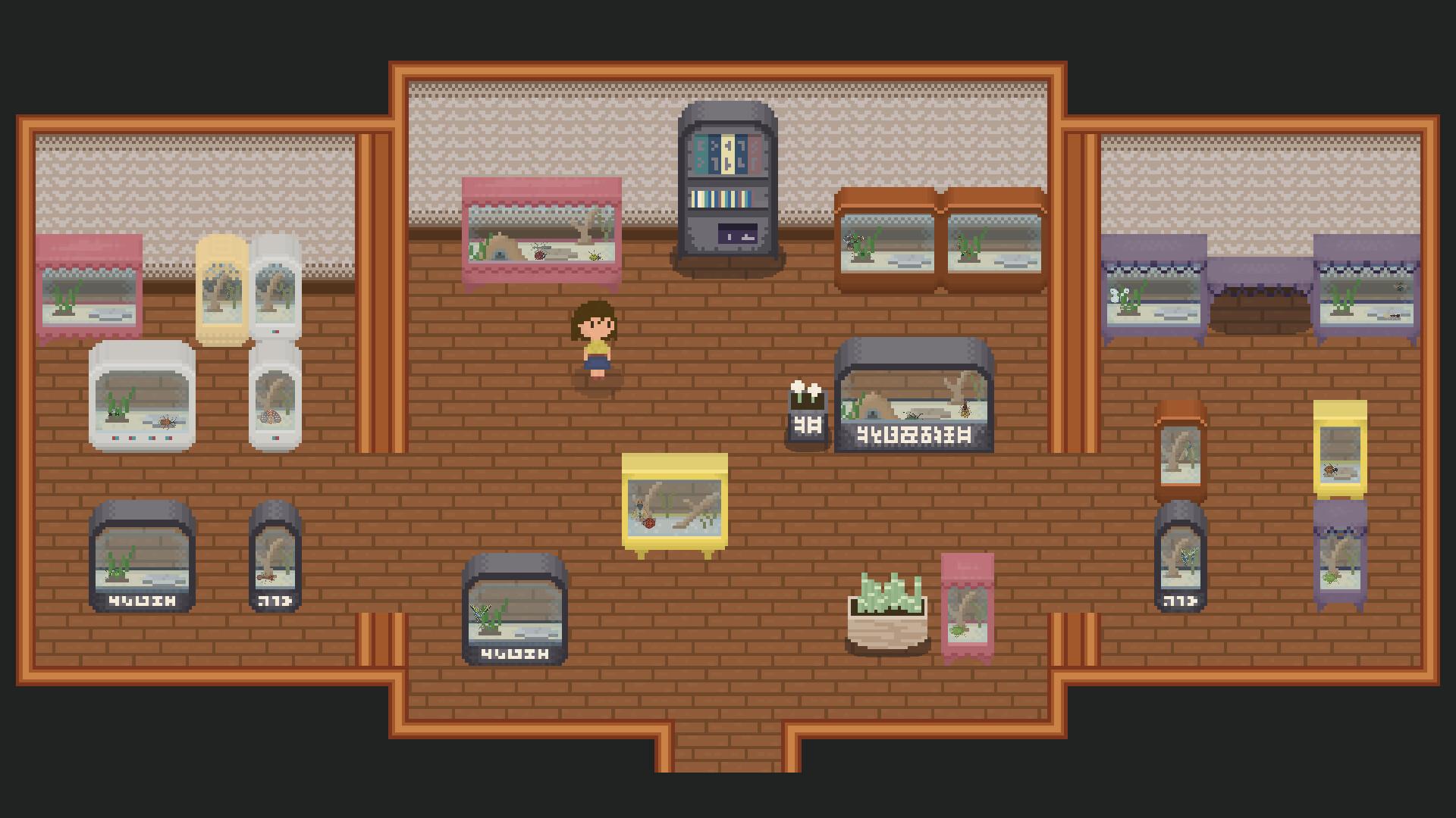 Bug & Seek ستيم كود رقمي